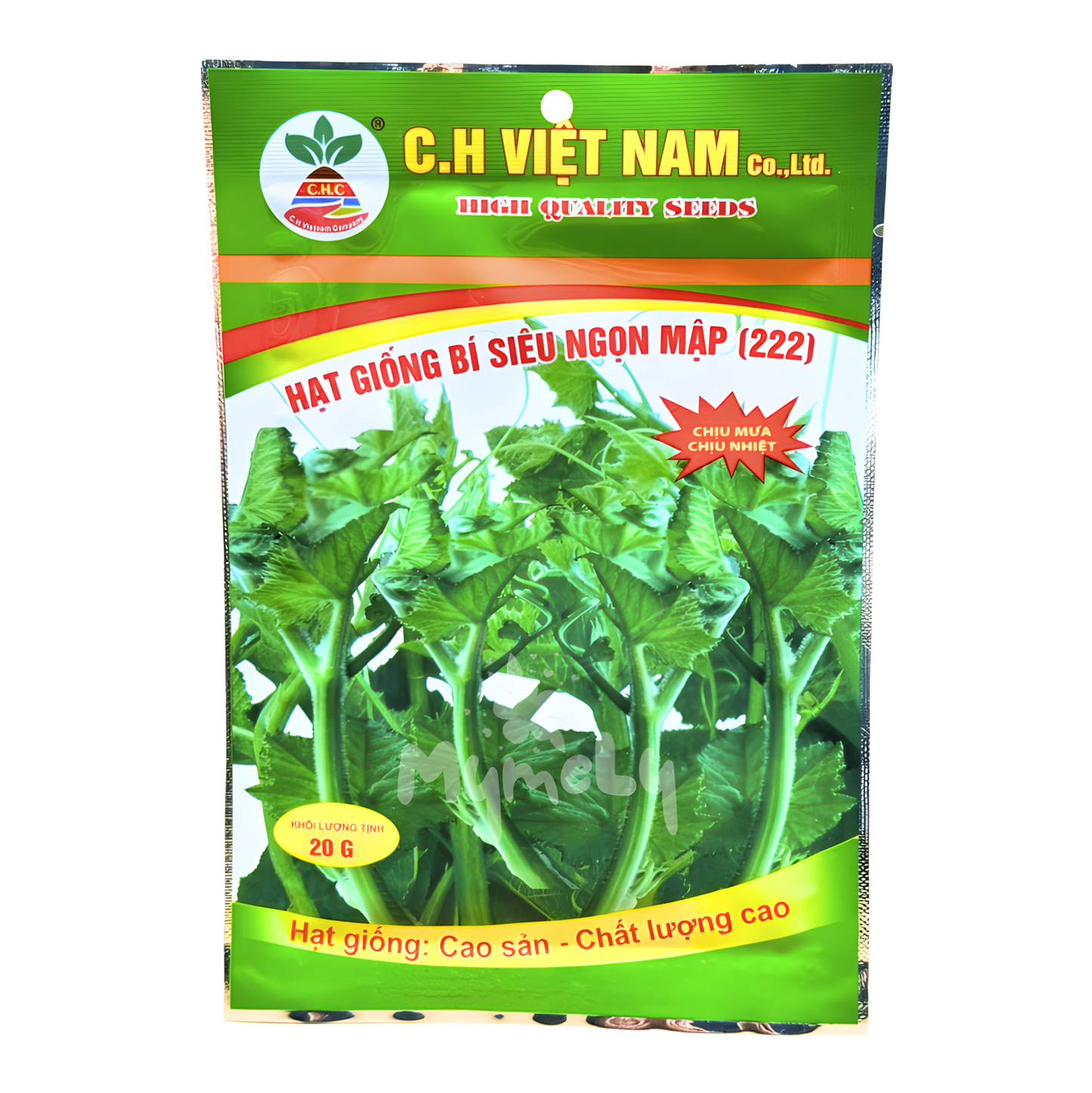 Hạt giống bí siêu ngọn 20g