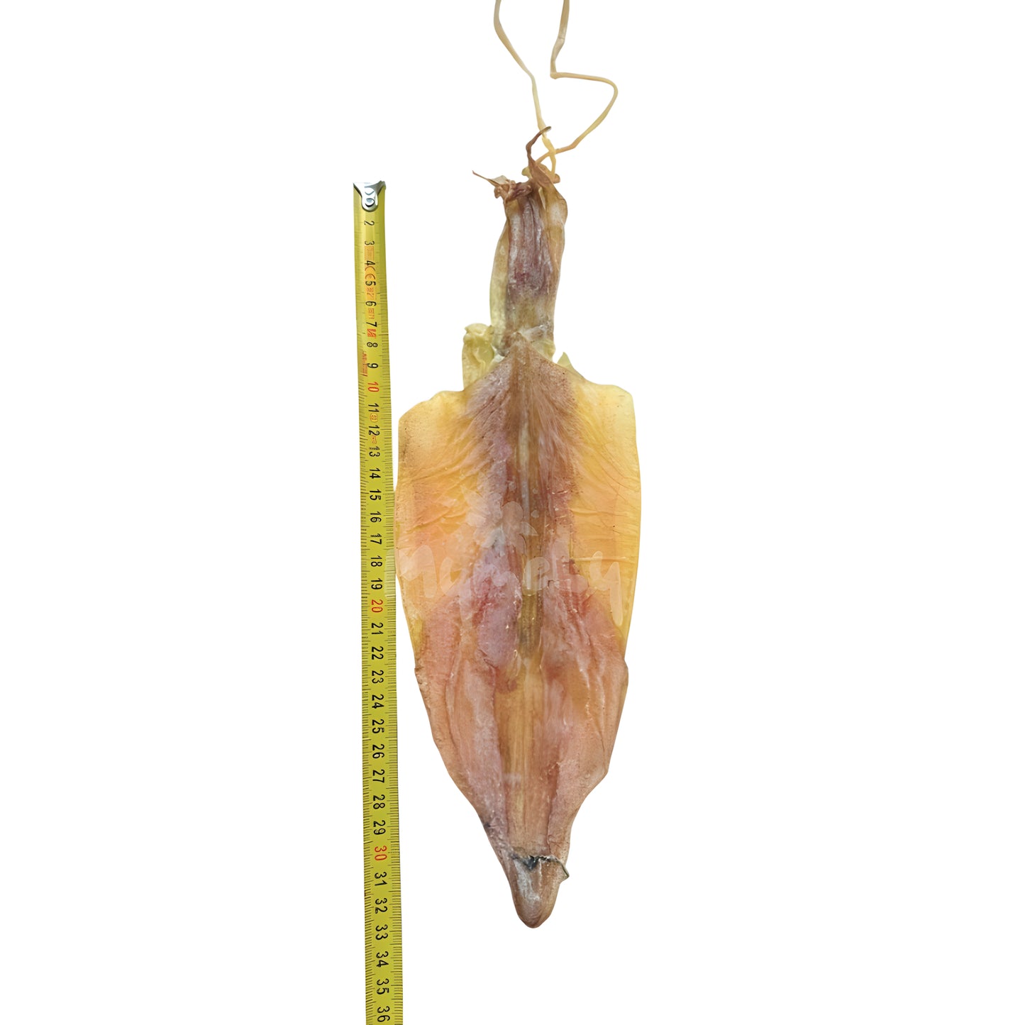 Mực Khô Biển Nghi Xuân size 32-35cm