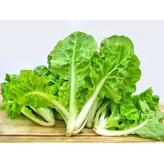 Hạt giống cải bẹ dún gói 10g