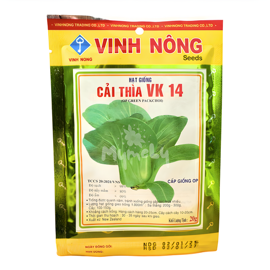 Hạt giống cải thìa 20g