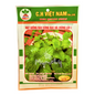 Hạt giống rau bạc hà gói 0.3g (húng lủi)