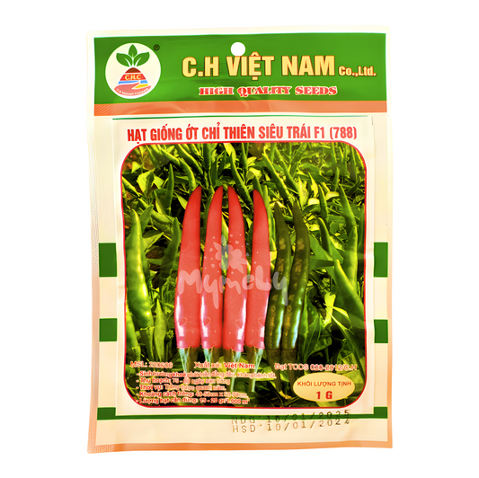 Hạt giống ớt chỉ thiên siêu trái 1g